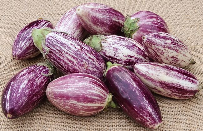 Eggplant Cooking Tips & Recipes - Image 2