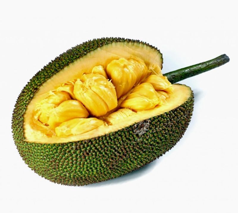 The bulbs or capsules containing the seeds are the edible parts. See how to remove these bulbs to prepare the jackfruit for cooking in various ways