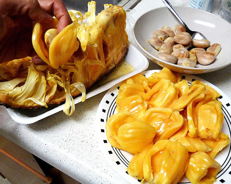 Jackfruit seed bulbs removed and ready for cooking.