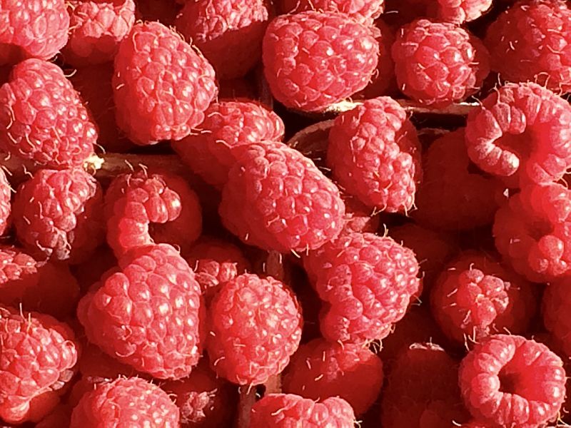 Raspberries are wonderful in smoothies adding some tart taste and color