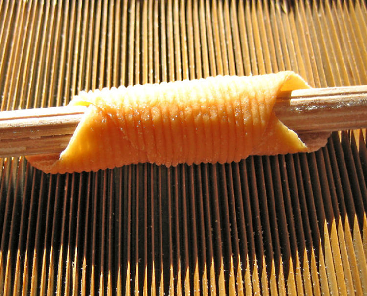 Making Garganelli colorati at home with simple tools