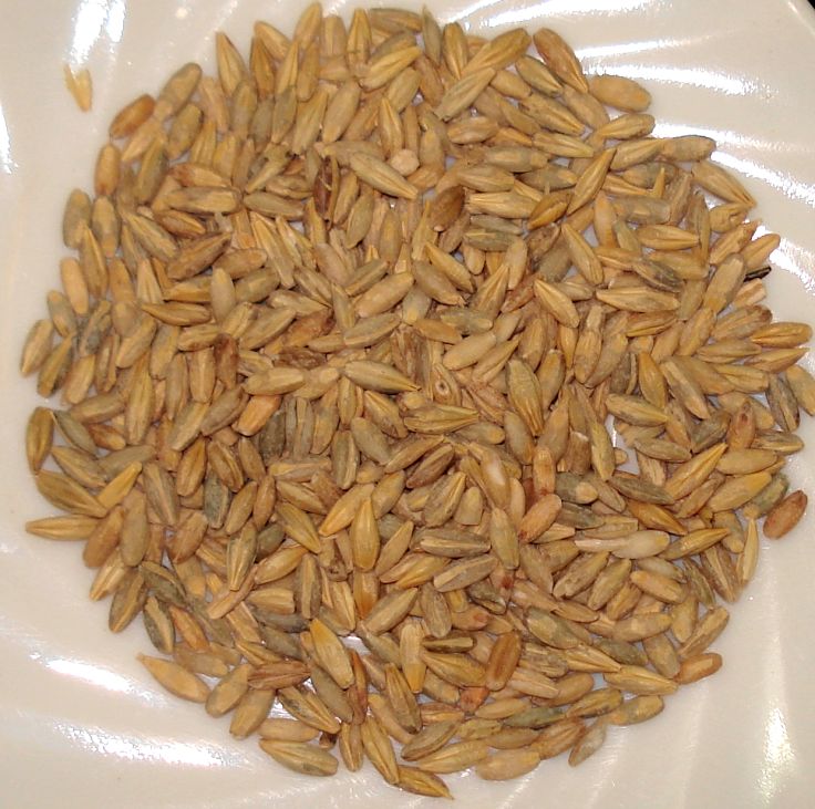 The outer husk of barley is removed to make pearl barley, suitable for risotto