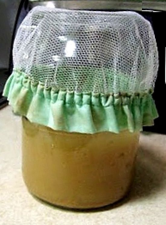 The ginger beer plant covered and set aside to ferment