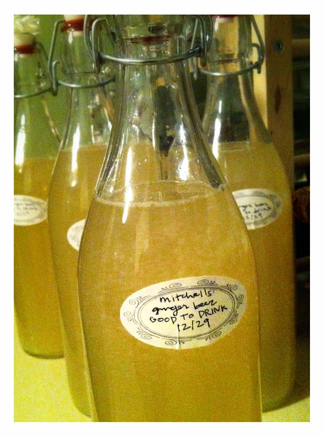 The bottled ginger beer is sealed and set aside to ferment in the bottle to create the 'fizz'