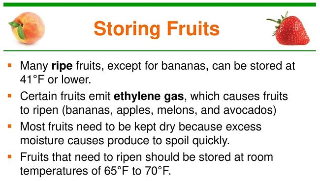 Advice for storing fruits