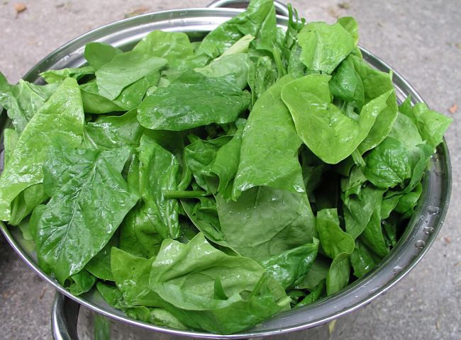 Spinach is the heart and soul of most green smoothies