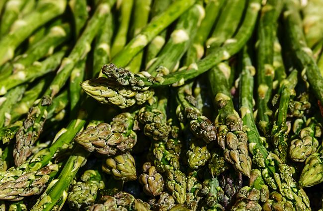 Fresh Asparagus picked in Spring is a delight with many wonderful uses.
