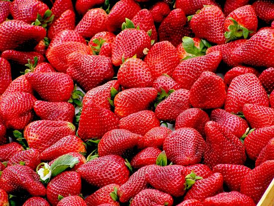 Strawberries are very versatile and healthy and can be used in a variety of sweet and savory dishes