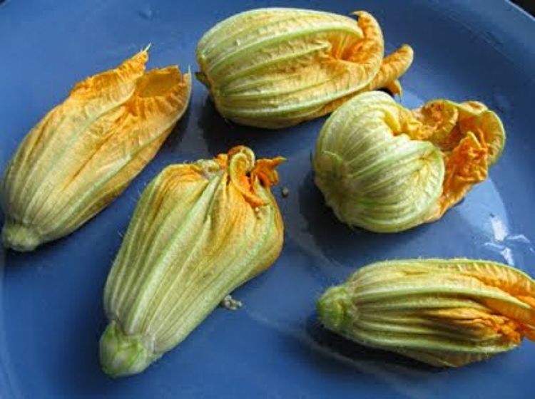 The zucchini flowers are easy to stuff, but it takes care and a gentle touch