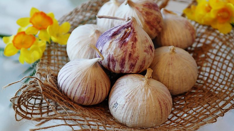Garlic is so versatile and it is a shame to waste fresh bulbs in season