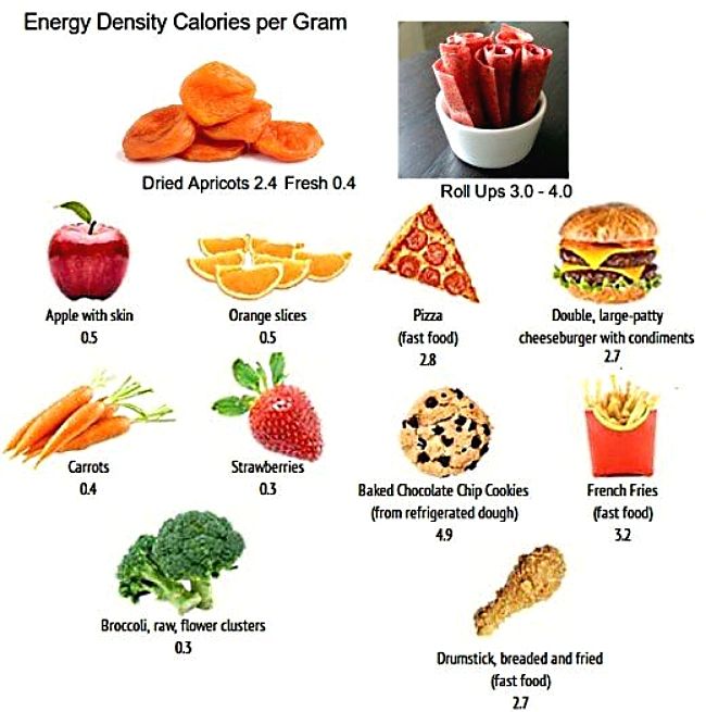 Fruit Leather, Fruit Strips and Roll Ups are Energy Dense foods (high calories per gram similar to dried fruit and many fast foods.