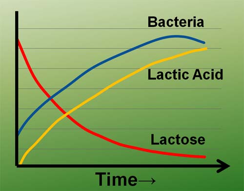 Graph highlighting the process of fermenting lactose and creating lactic acid