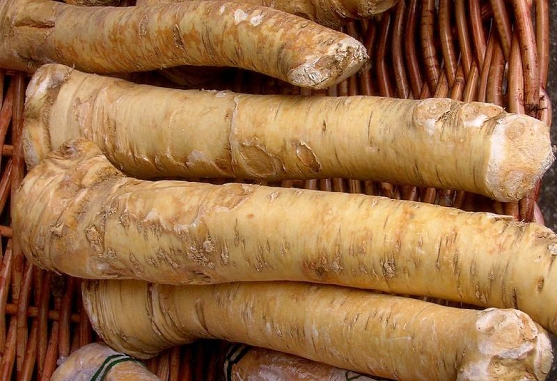 Horseradish can be used to make many delightful sauces and dressings. See the recipes provided in this article