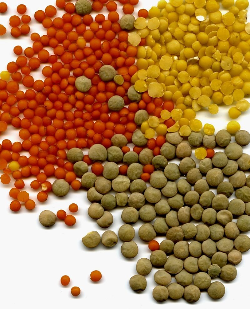 Lentils come in many varieties. Choose the type that best suits the dish you want to prepare. Various types have different properties when cooked