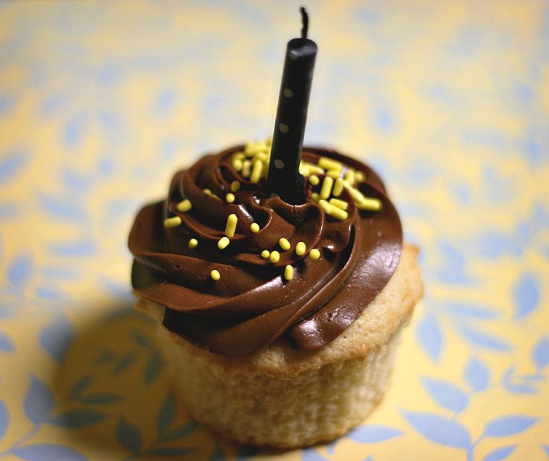 Vegan Chocolate frostings are delightful and set to a nice texture