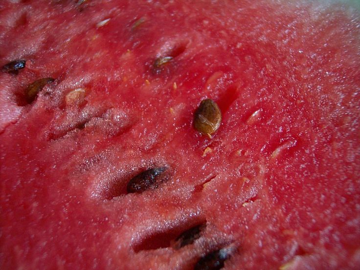 Fresh watermelon can be used to make a delightful watermelon margarita